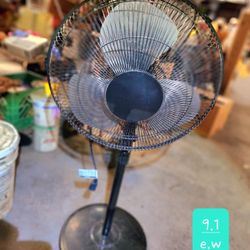 Standing Electric Fan