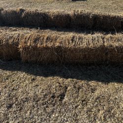 Hay Bales. About 300 Of Them Available 