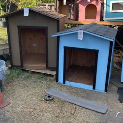 Dog House