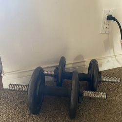 Barbells And Plates 