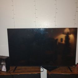 Vizio 43" HDTV