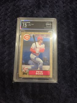 Baseball Card