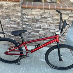 Mongoose 24” Pro Cruiser