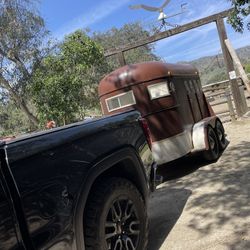 Transport Service: Livestock 