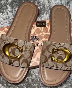 Coach Women Brown/Gold Slides