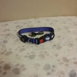 LED rechargeable collars $15 each