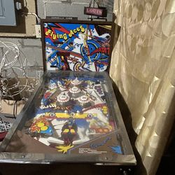 Flying Acres Arcade Game