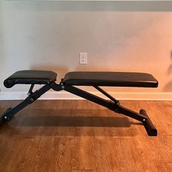 Workout Bench