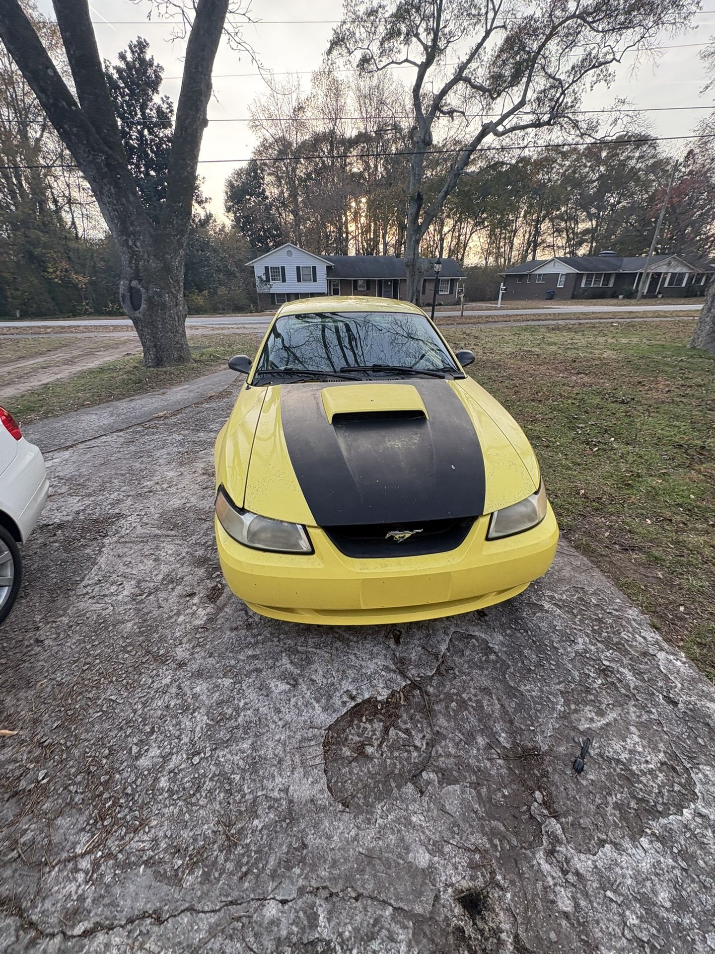 2001 Ford Mustang