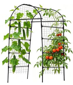 80” Garden Arch Trellis for Climbing Plants Outdoor, Grape Trelli Metal Vine Plants Support
