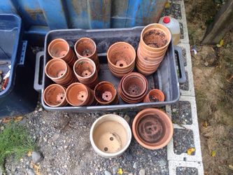 Terra cotta pots