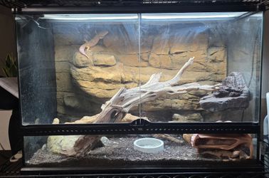 Exo terra reptile tank 36x18x24