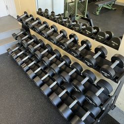 Rogue Fitness Dumbbells + Storage Rack