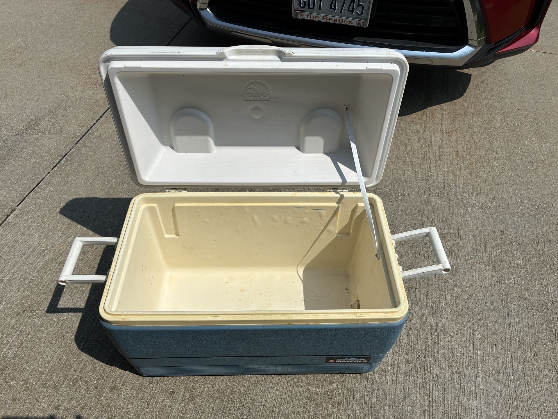 Igloo Cooler (Large)