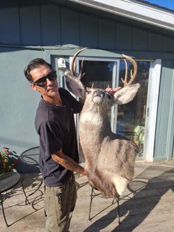 Out of State Winter Mule Deer & CA Blacktail Mule Cross