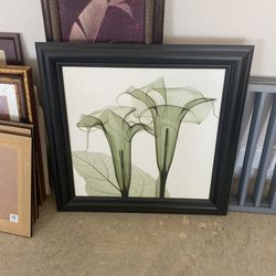 Picture Frame