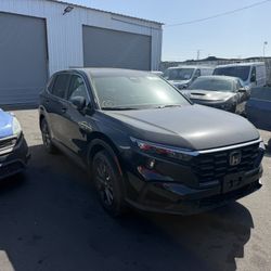 2026 Honda Crv EXL
