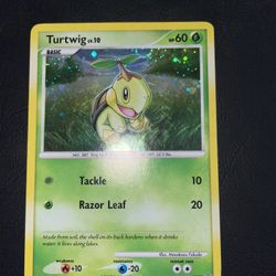 POKEMON CARD Turtwig Holo