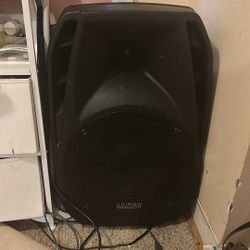 Speaker