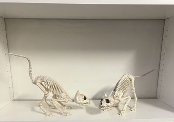 Halloween Cat Skeleton Decoration Set Of 2