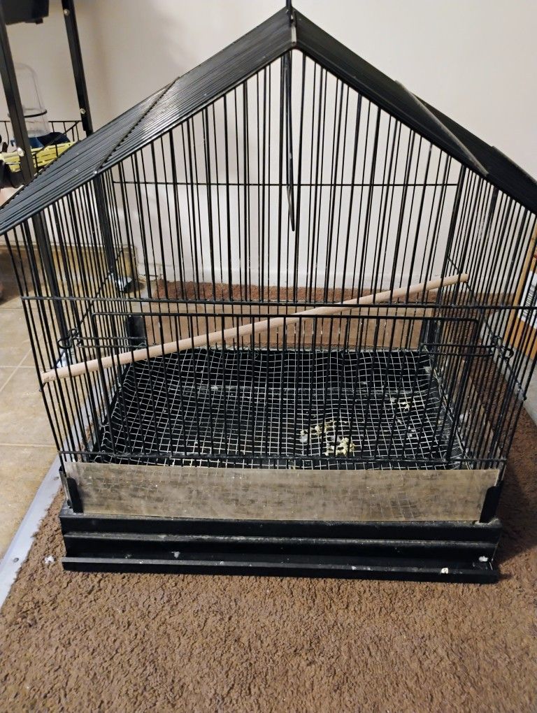 Bird Cage