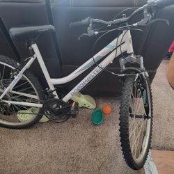 Bicicleta Para Mujer