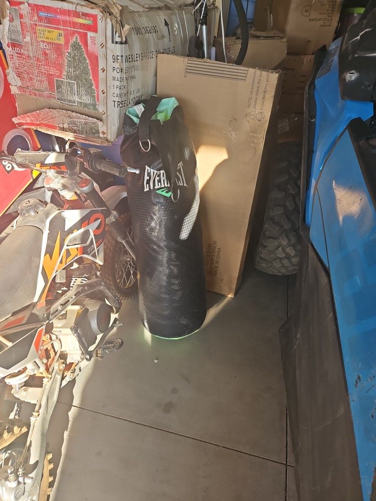 Punching Bag