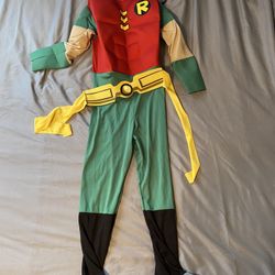 Robin Costume 