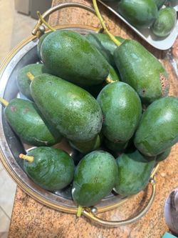 Organic avocados 🥑👇