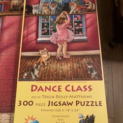 Puzzle - 300 Pieces 