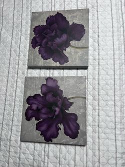 Canvas frames