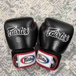 Fairtex BGV1 Muay Thai Boxing Glove