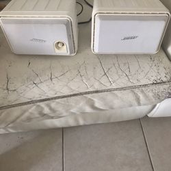 Two Bose Speakers