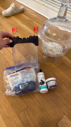Betta fish accessories free