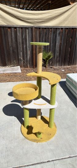 Cat tree!
