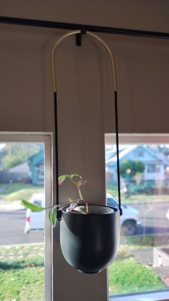 Umbra Bolo Hanging Planter