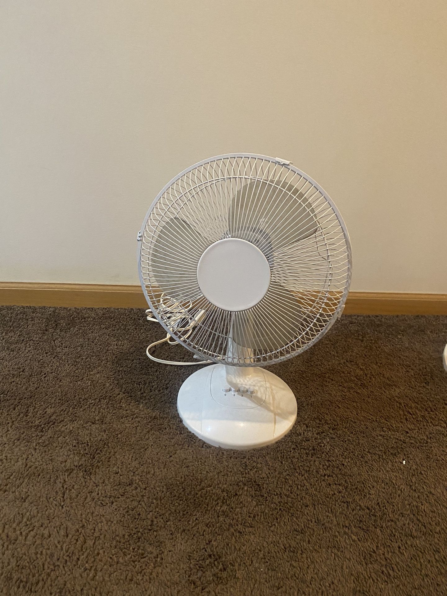 Fan