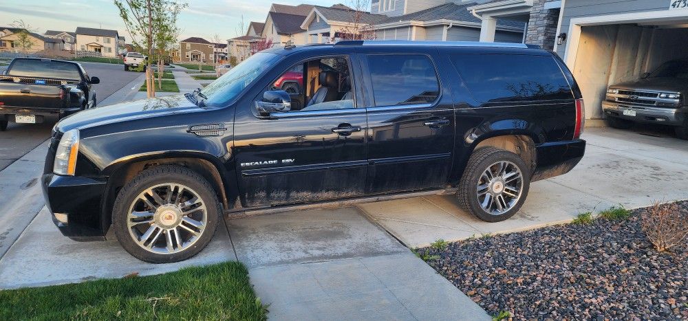 2013 Cadillac Escalade