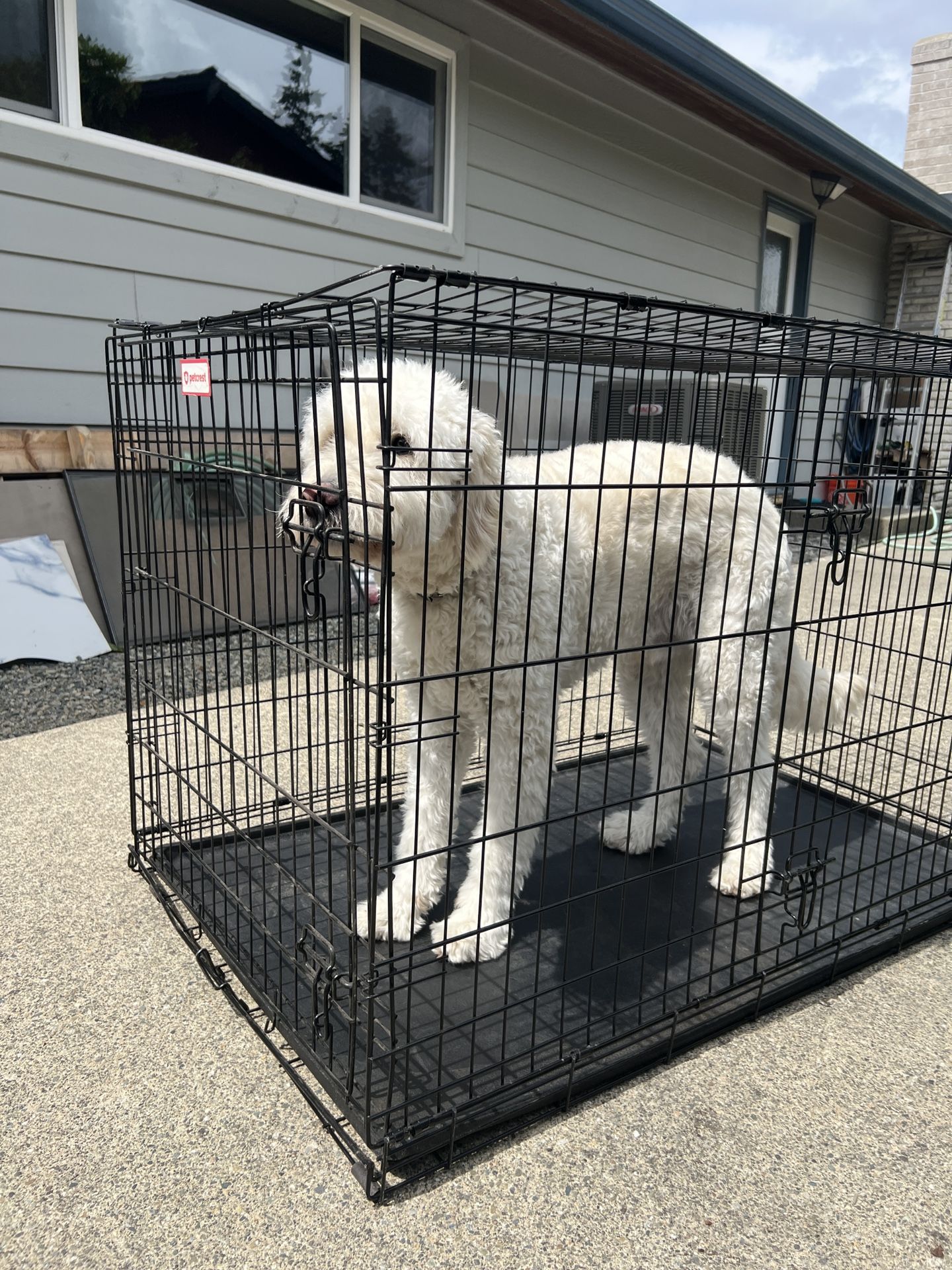 Large Dog House