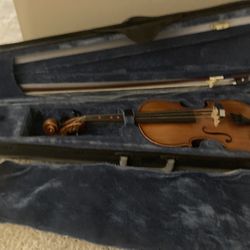Professional Violin
