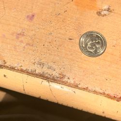 Bat Coin Worth A Lot