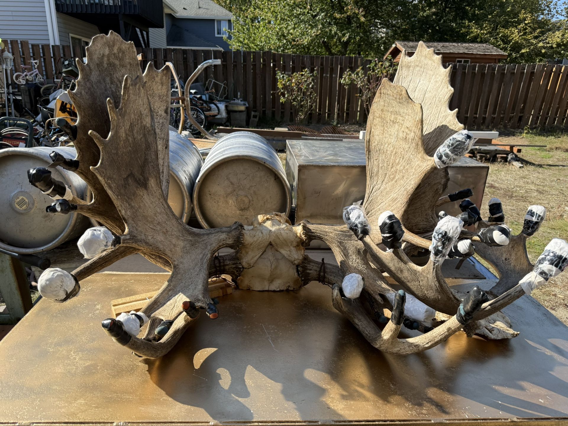 Large Real Moose Antler Racks - Rustic Cabin Decor for Sale in Seattle ...
