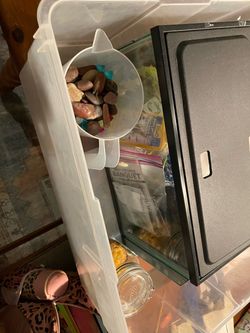FREE Complete Fish kit