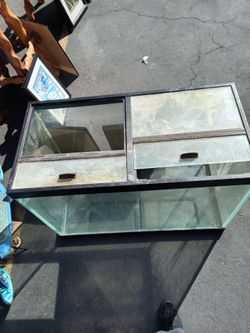 60 gallon tank missing back part of lid