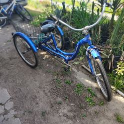 Three wheels when tricycle for adults 26-in