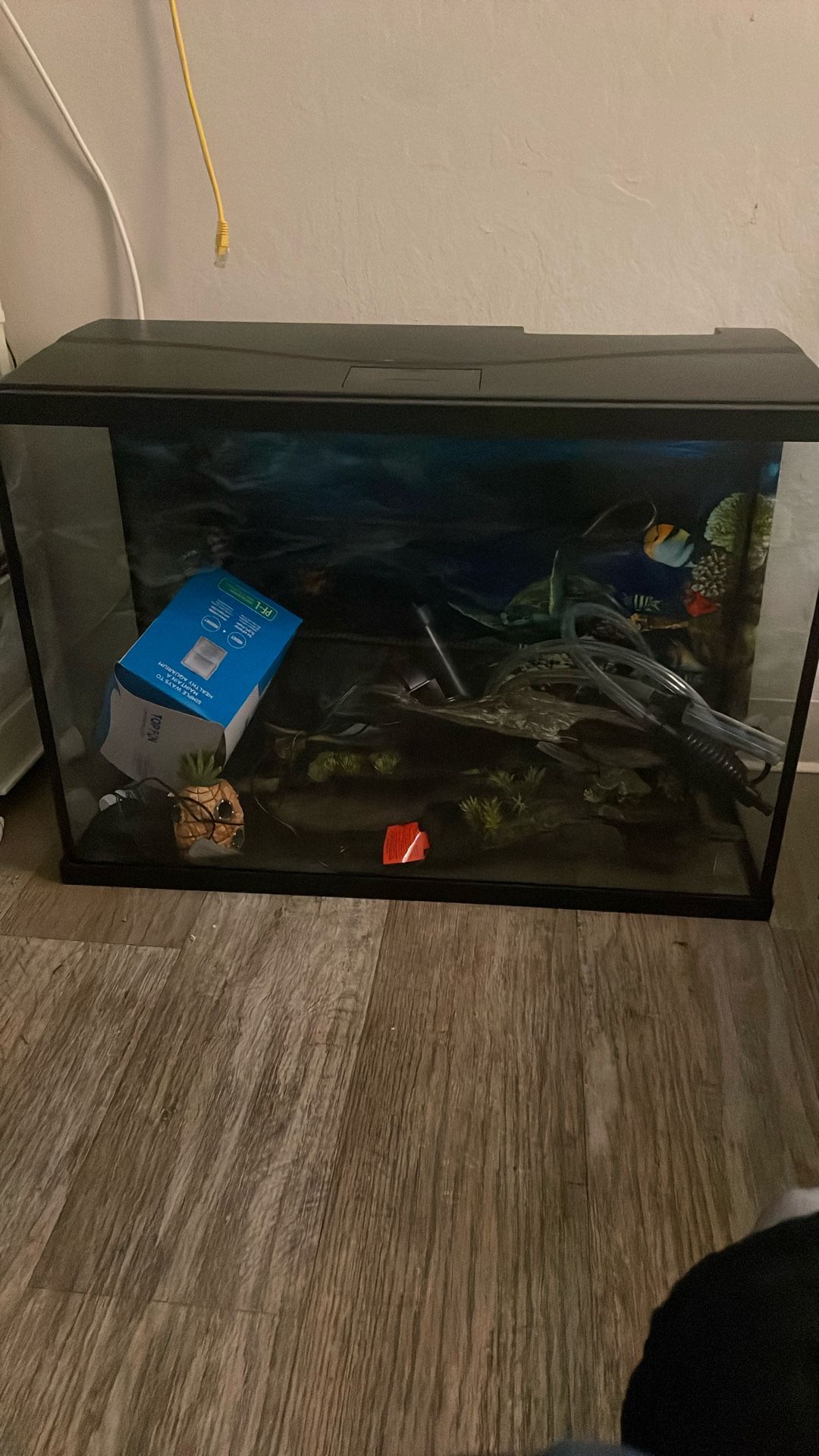 Fish Tank / With Accessories