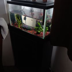 Fish Tank
