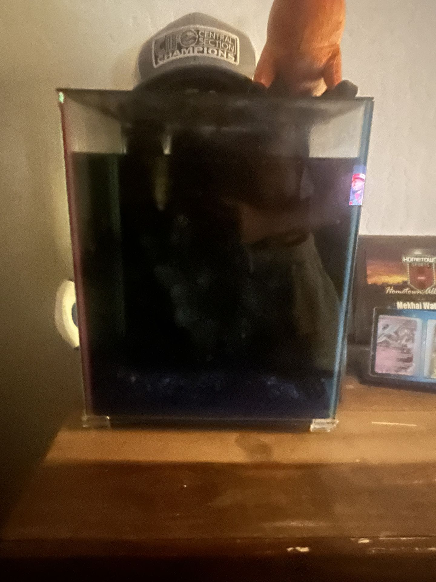 Fish Tank 