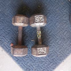 25 lb weights