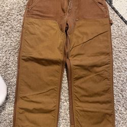 Carhartt Brier Proof Pants